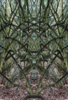 amandine-crozat-totem-2