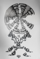 Fadela Benbia